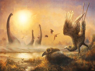 Hóa thạch tiết lộ loài 'chim răng thỏ' kỳ dị